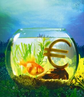 akvaarium kuldkalaga raha meelitamiseks